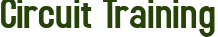 Circuit Training