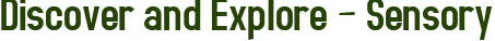 Discover and Explore – Sensory